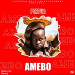 MUSIC: Pertua – Amebo