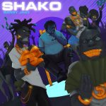 MUSIC: Barry Jhay – Shako