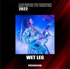 This image has an empty alt attribute; its file name is WET-LEG-1024x1007.jpg