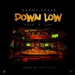 MUSIC: Dammy Krane Ft. Ycee X L.A.X – Down Low