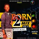 MIXTAPE: Dj Bee – Born 2 Mix Vol 6 | @DjBeeNaija @CityMusicRecord