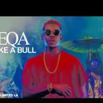 VIDEO: FreeQa @iamfreeqa – Poke it like a Bull” | @BLACKLINKS