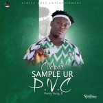 MUSIC+VIDEO: CUDPEA – Sample Ur PVC (Election Advice)