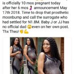 Kemi Olunloyo: Linda Ikeji Paid Surrogate Mother N1.8M Photoshopped Her Delivery