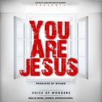 [Gospel] Voice of wonders: You are Jesus.