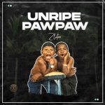 MUSIC: Zlatan – Unripe Pawpaw