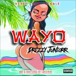 MUSIC: Drizzy – Wayo