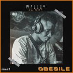 MUSIC: WalexyAkaFlexy – Gbesile