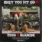 MUSIC: Trod Ft Olamide – Shey You Fit Go?!