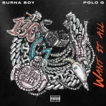 MUSIC: Burna Boy – Want It All Ft. Polo G
