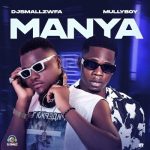 MUSIC: DJ Smallzwfa Ft. Mullyboy – Manya